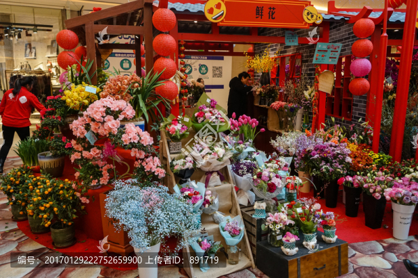 花店,玫瑰,蝴蝶蘭,蘭花