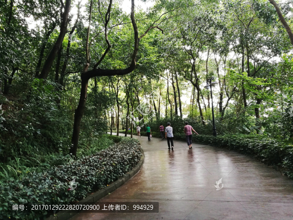 深圳筆架山公園風(fēng)光