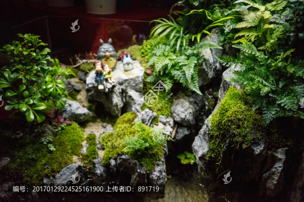 水族造型,魚缸造景