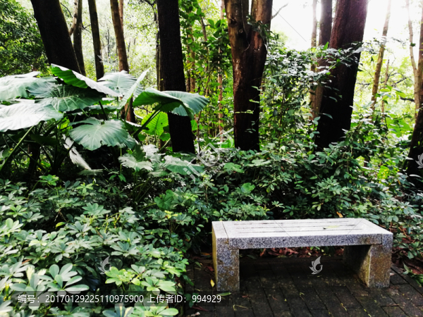 深圳筆架山公園