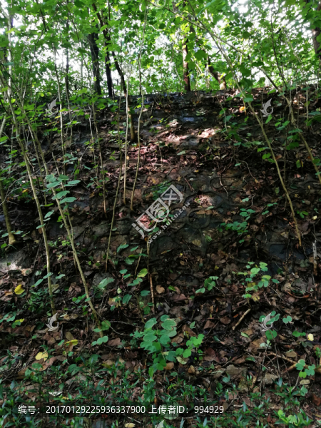 深圳筆架山森林公園風(fēng)光