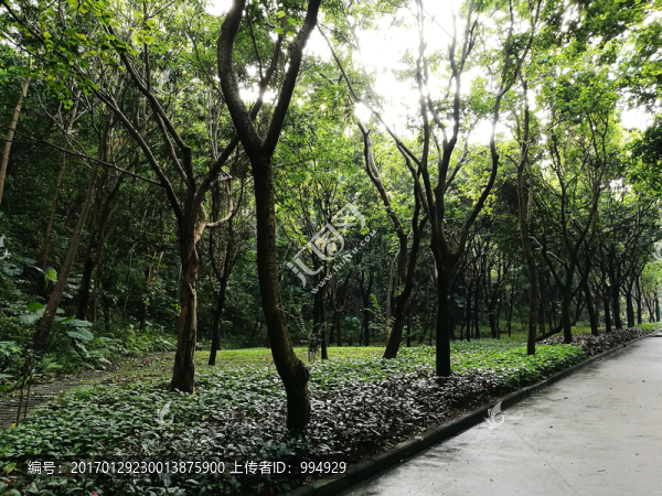 福田筆架山公園