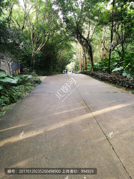 深圳筆架山公園風(fēng)景