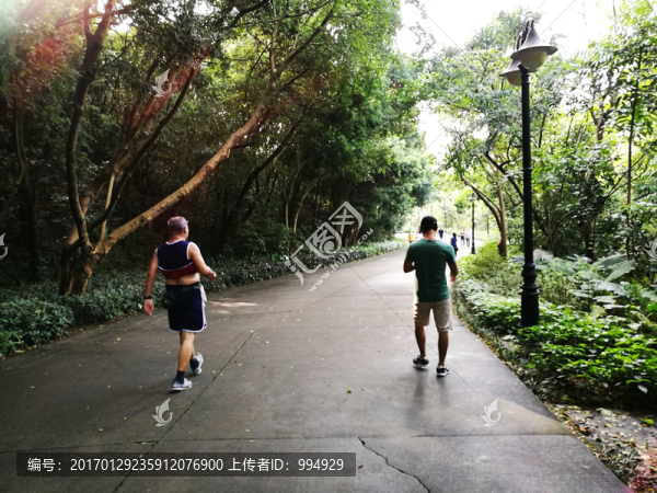 深圳筆架山公園道路