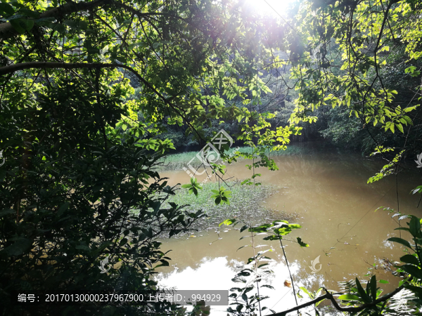 深圳筆架山森林公園風(fēng)光