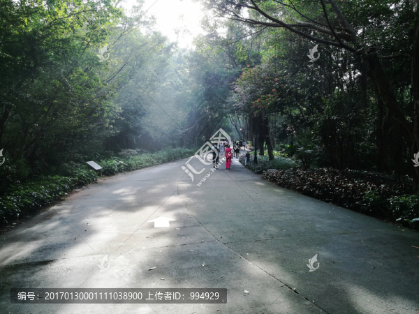 深圳筆架山公園風(fēng)景