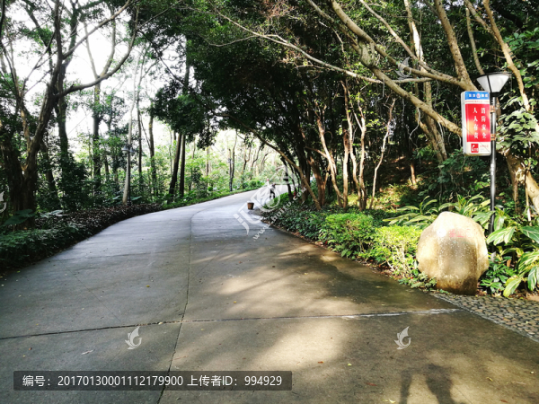 深圳筆架山公園風(fēng)景