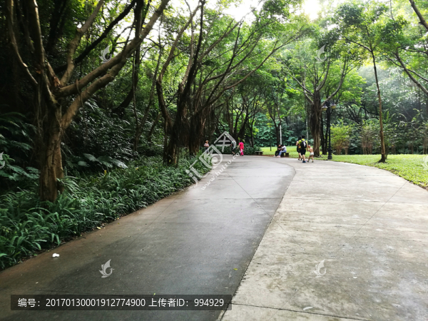 深圳筆架山公園風(fēng)景