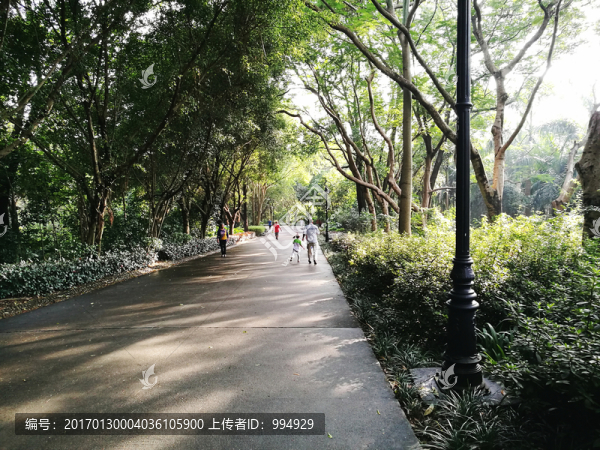 深圳筆架山公園風(fēng)景