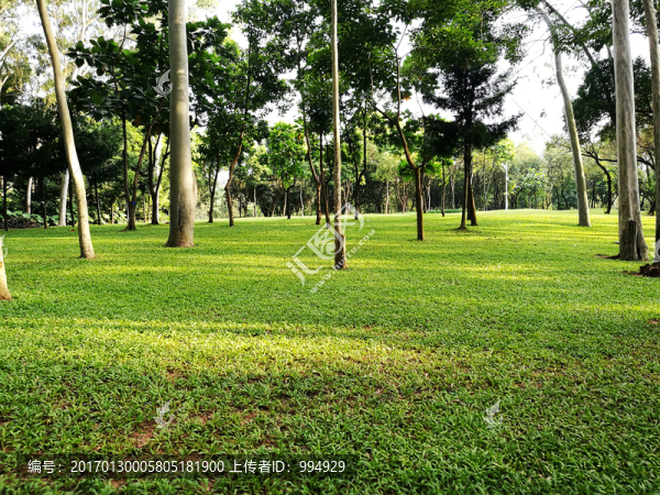 深圳筆架山森林公園美景