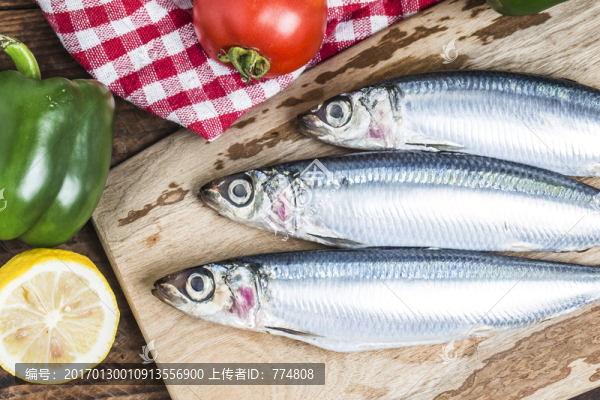 沙丁魚