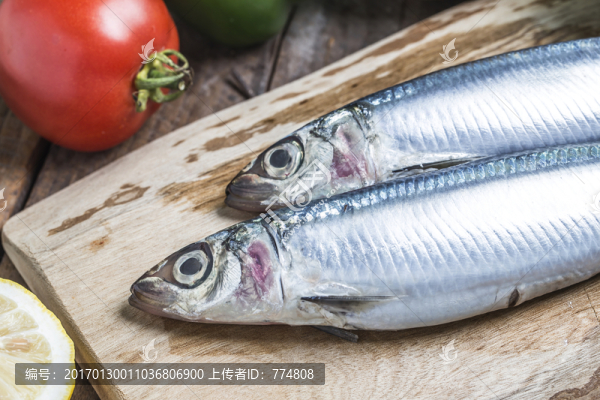 沙丁魚