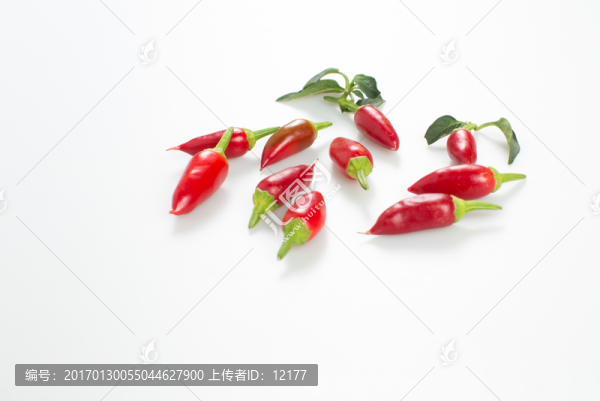小辣椒