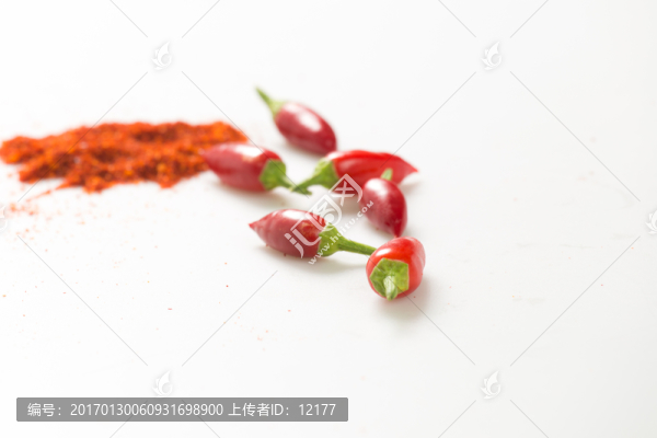小辣椒