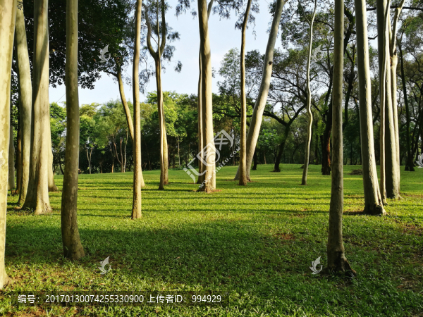 筆架山森林公園風(fēng)光