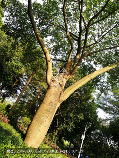 筆架山森林公園