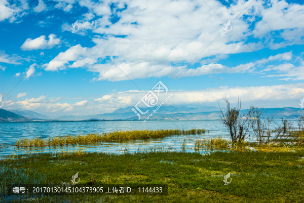 大理,洱海,風光