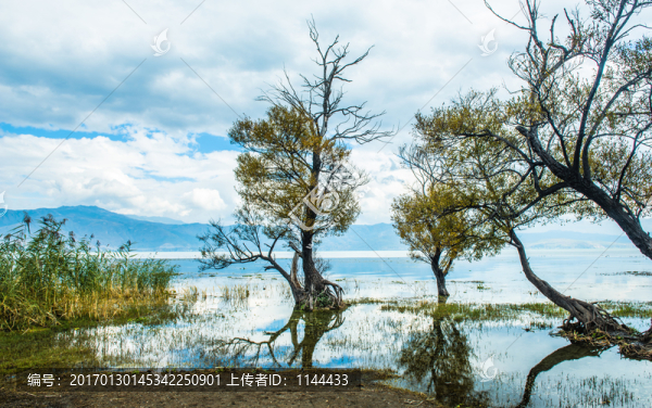 大理,洱海,風(fēng)光