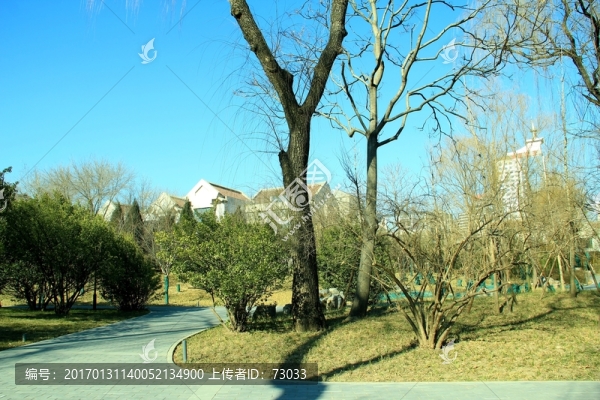 冬季公園小路