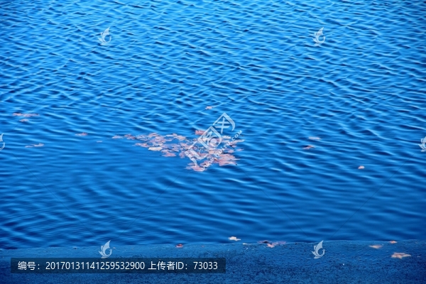 水紋