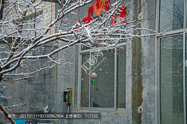 春節(jié)雪景