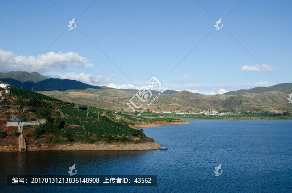 賓川,葡萄,風(fēng)景