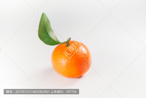 沙糖桔