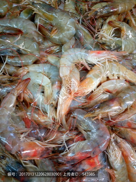 海鮮