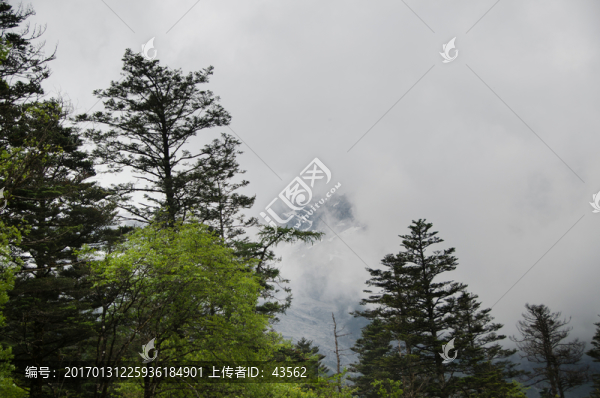 玉龍雪山