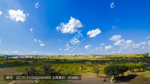 草原風(fēng)光