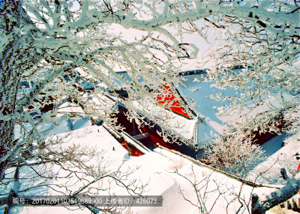 白雪霧凇古建筑