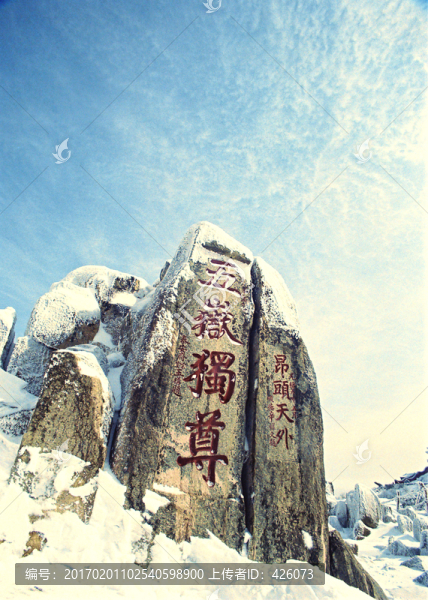 凌寒傲雪五岳獨尊