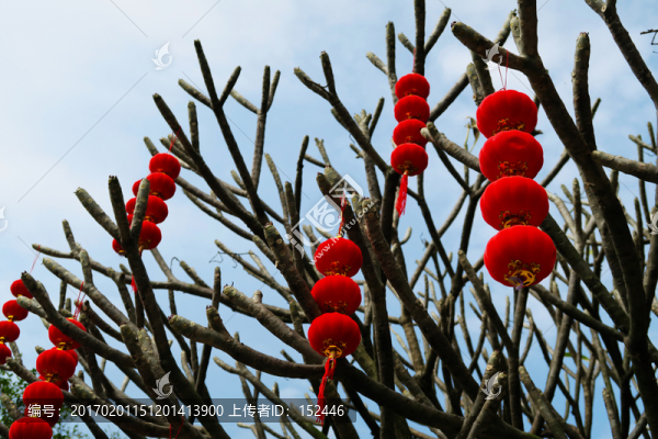 嶺南印象園06