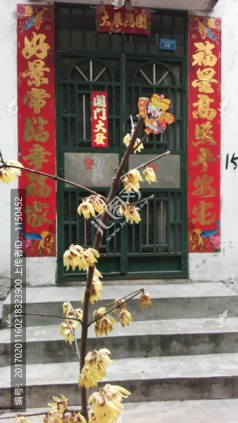 春聯(lián)梅花迎春到,,（4）