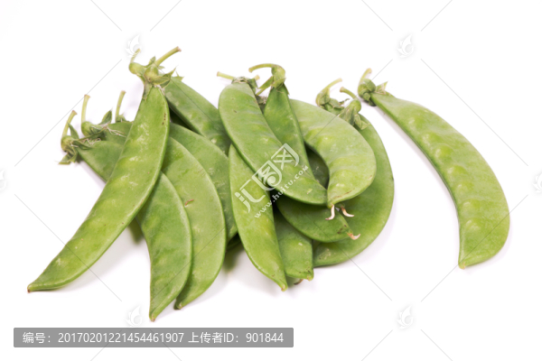 豌豆莢