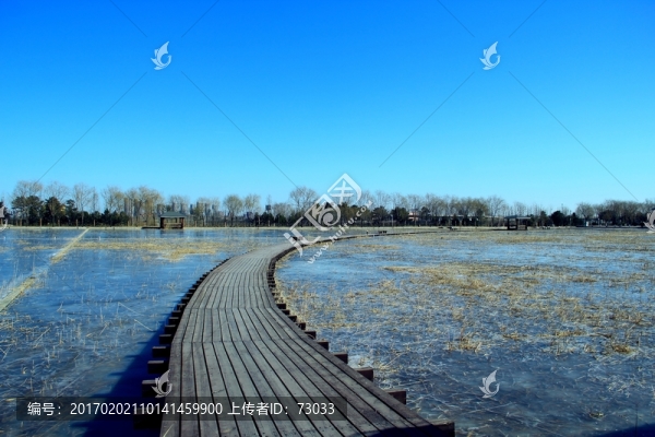 濕地木棧道