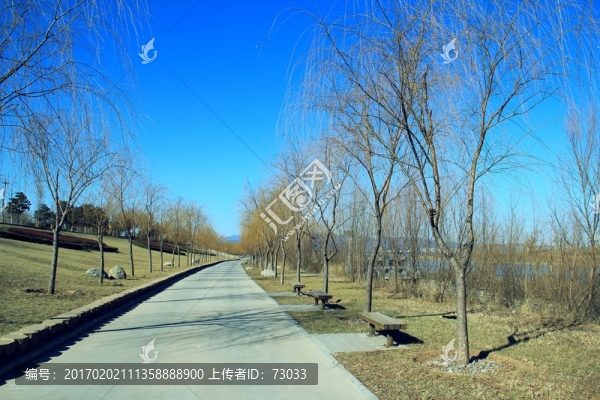 道路