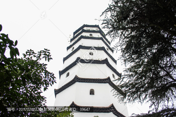 龍爪塔