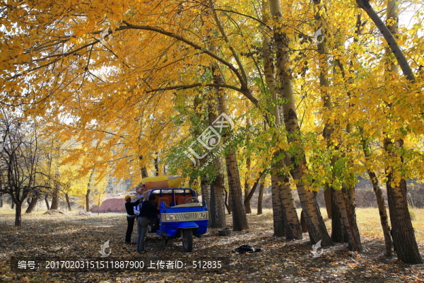 高原秋色