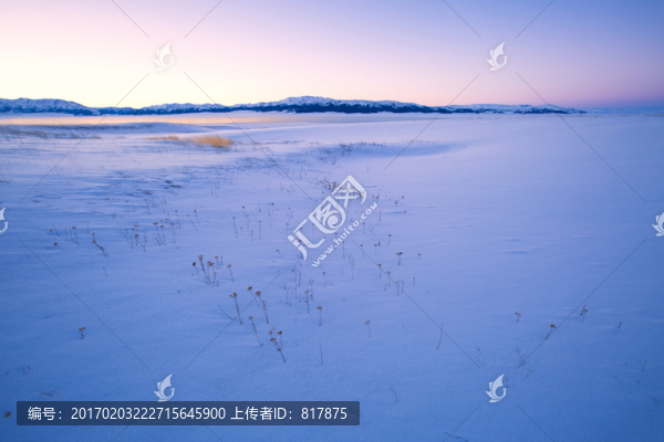 雪景