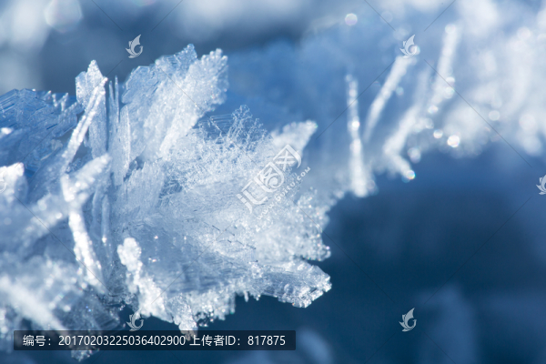 冰花