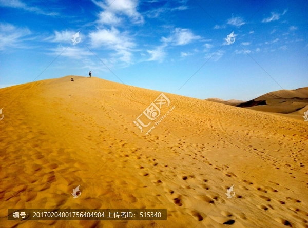 沙漠旅人