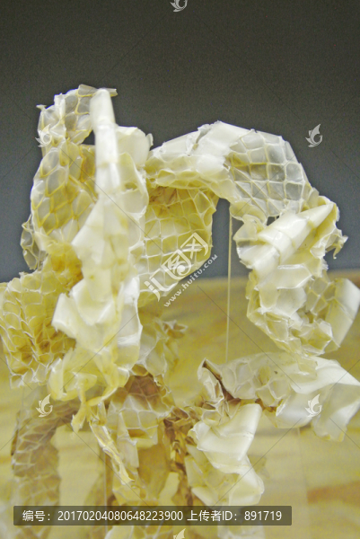 蛇蛻,蛇皮,中醫(yī),中藥材,中