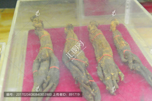 丹參,中醫(yī),中藥材,中草藥