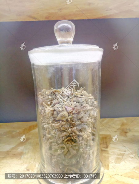 山蔥菇,中草藥,中藥材,中醫(yī)