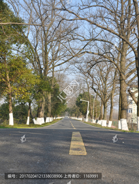 馬路