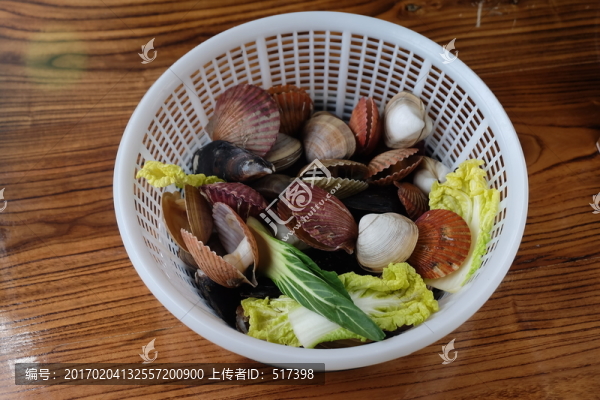 蛤蜊