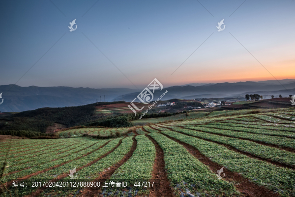 云南東川紅土地