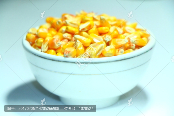 玉米