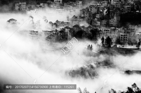 水墨畫多依樹